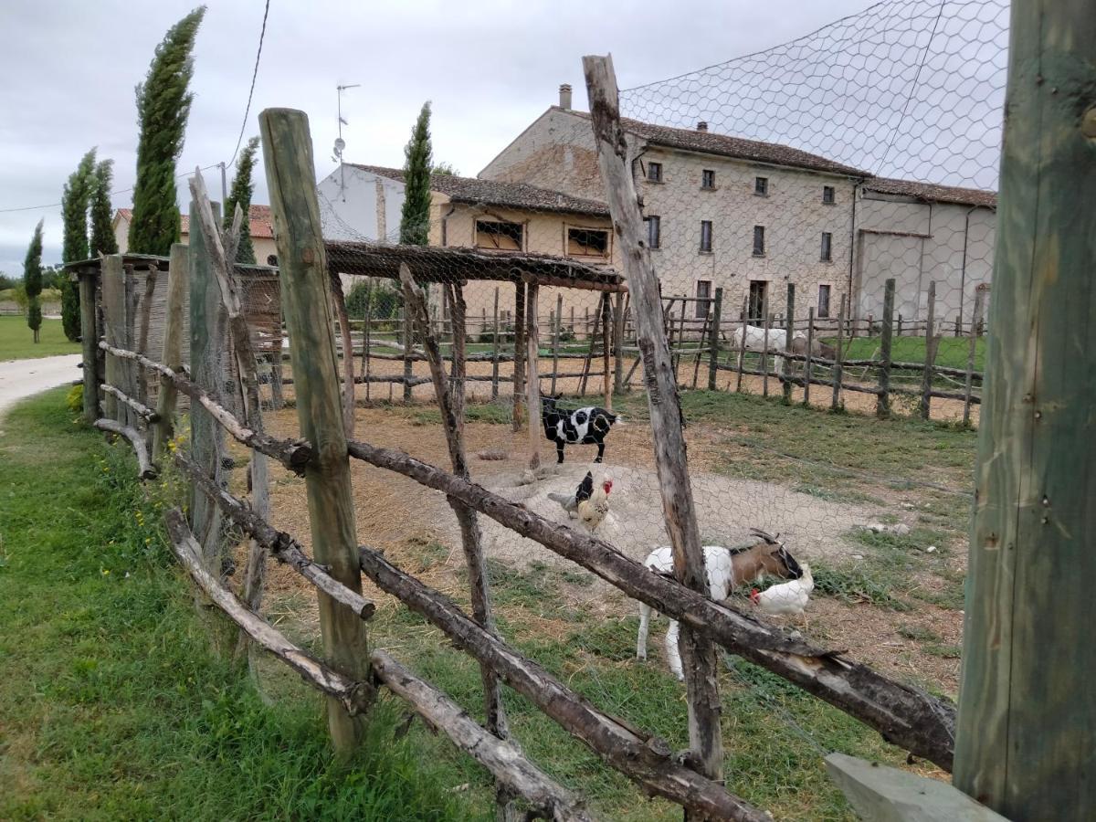 B&B Turistic 7 Castel Goffredo Εξωτερικό φωτογραφία